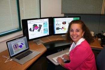 Dr. Rose McCallen is the Project Lead for the ALE3D Research and Development Team at Lawrence Livermore National Laboratory. Dr. Rose McCallen is the Project Lead for the ALE3D Research and Development Team at Lawrence Livermore National Laboratory.