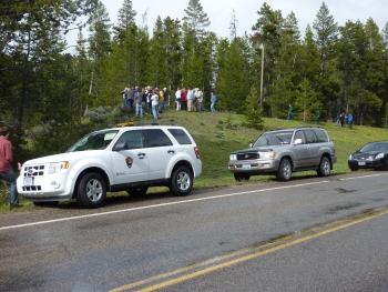 With help from the Clean Cities National Parks Initiative, Grand Teton National Park was able to purchase hybrid electric vehicles, which the park's Wildlife Brigade use to spark discussions about emission and fuel efficiency. | Photo courtesy of the National Park Service. With help from the Clean Cities National Parks Initiative, Grand Teton National Park was able to purchase hybrid electric vehicles, which the park's Wildlife Brigade use to spark discussions about emission and fuel efficiency. | Photo courtesy of the National Park Service.