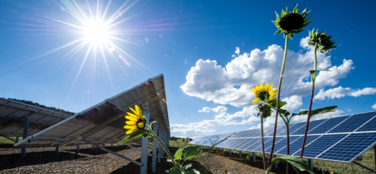 Revolution Now Revolution Now