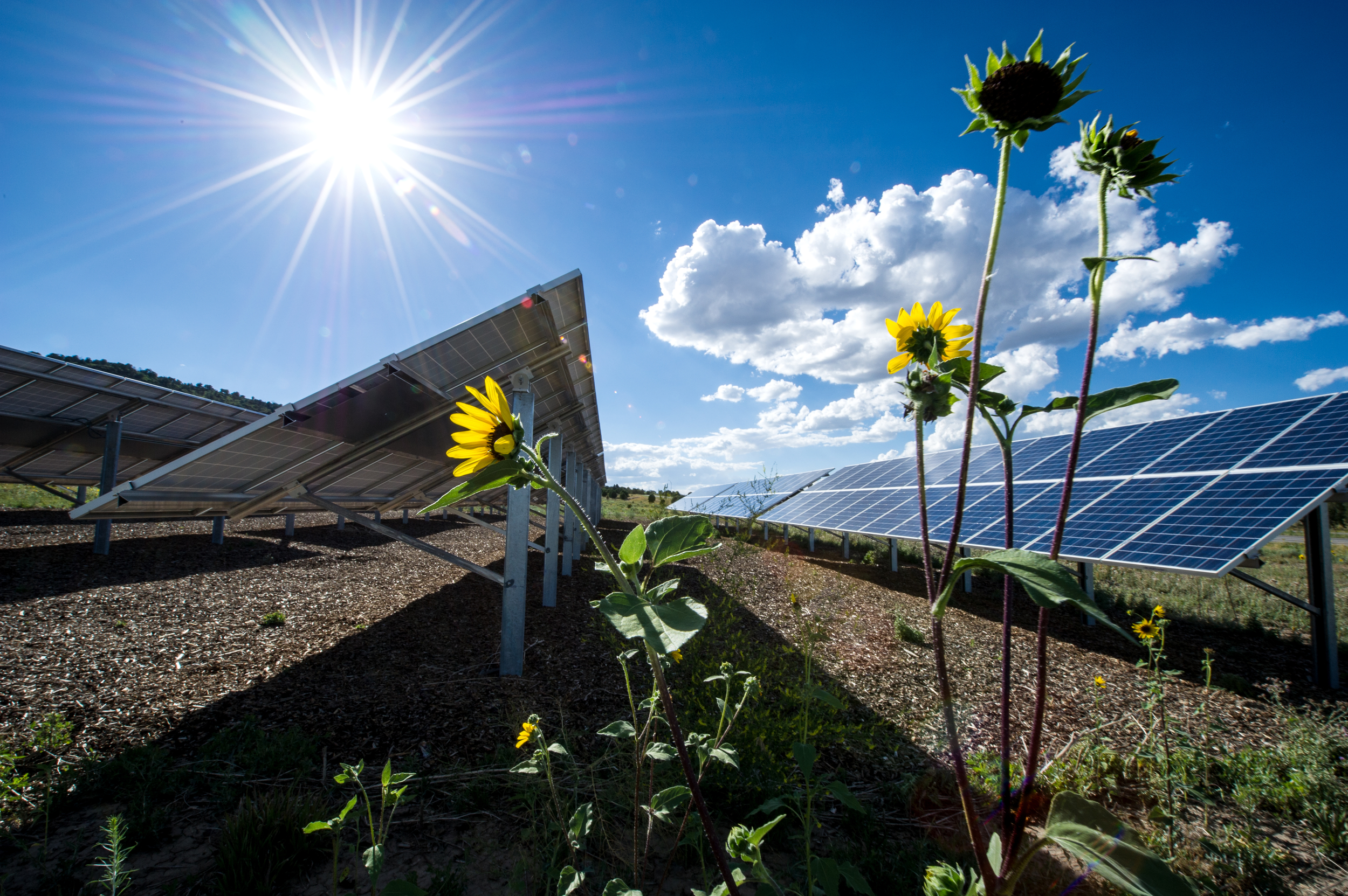 Image related to Renewable Energy Pillar