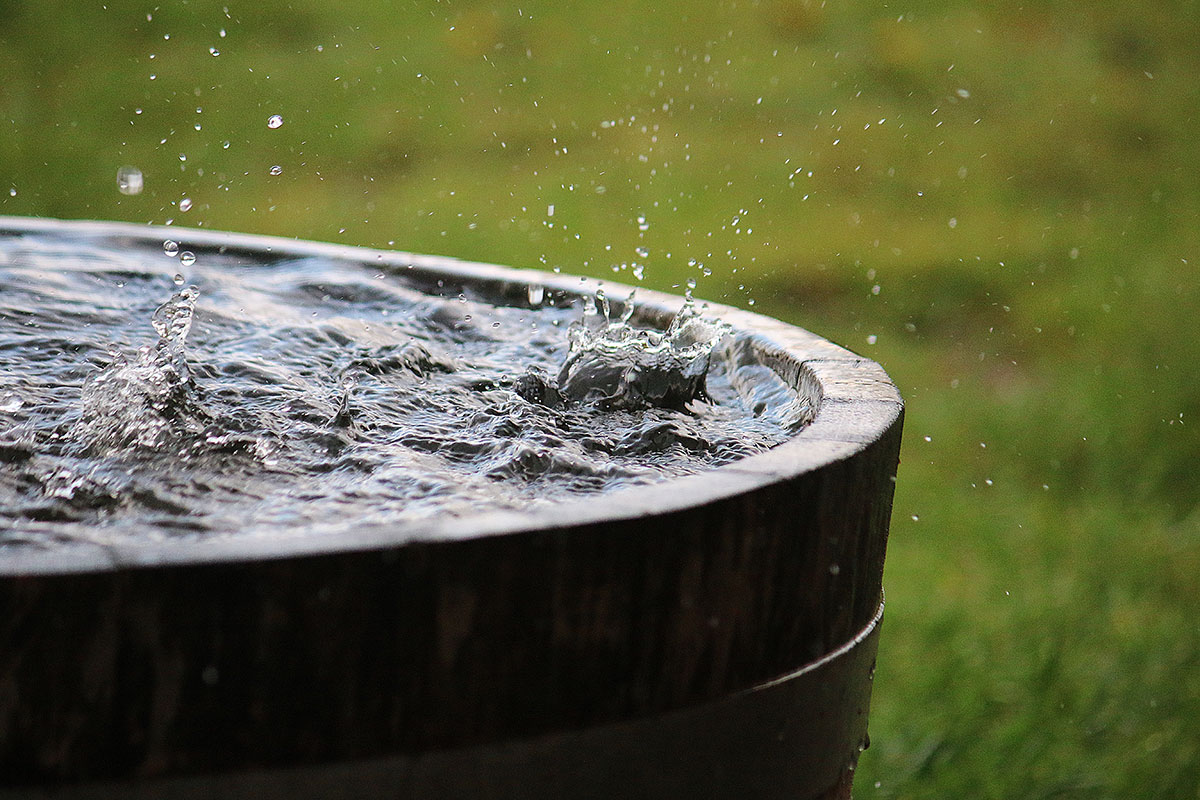 Rain falling in a wooden barrel full of water.