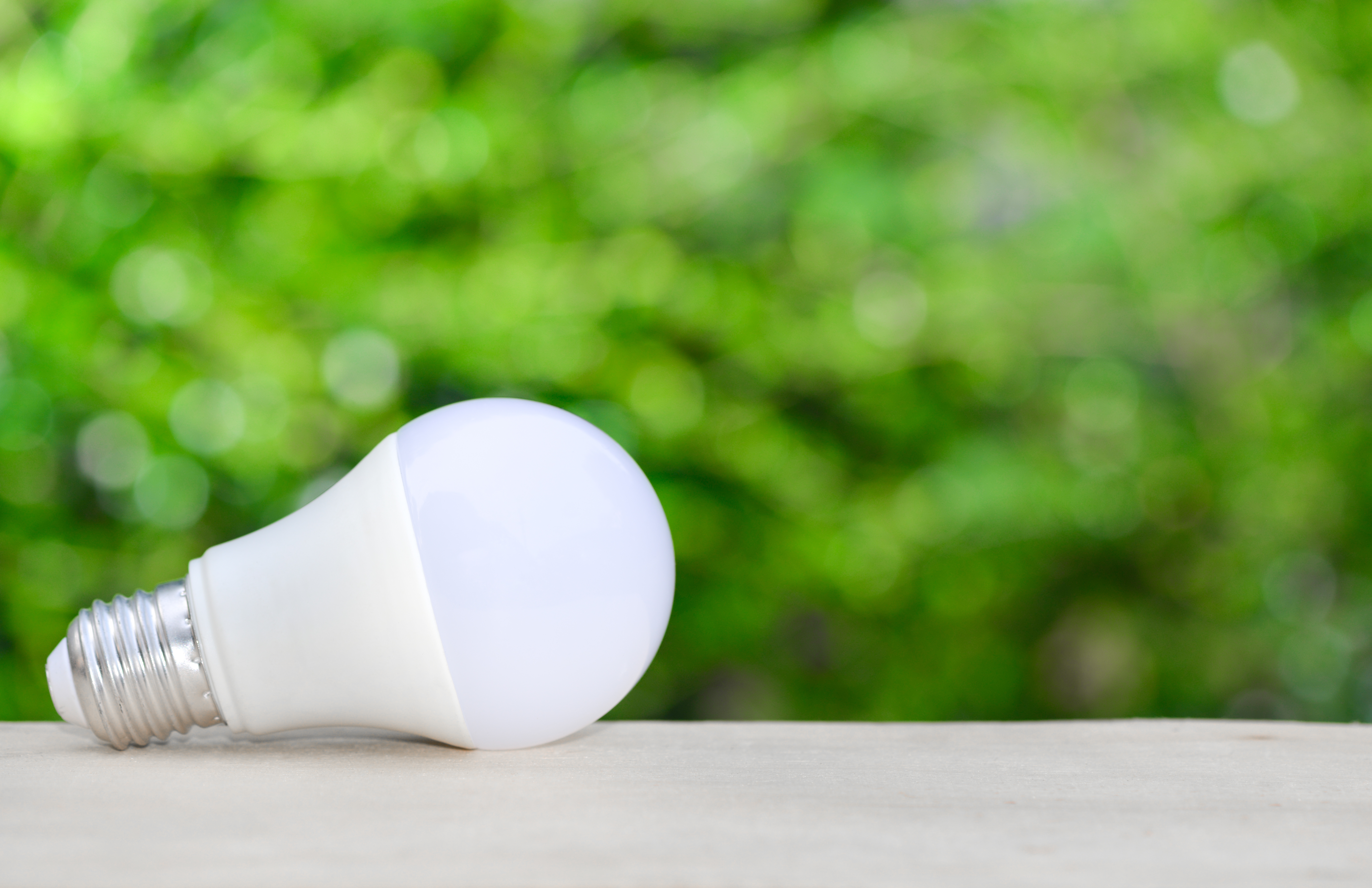 The 8 Best Light Bulbs of 2024