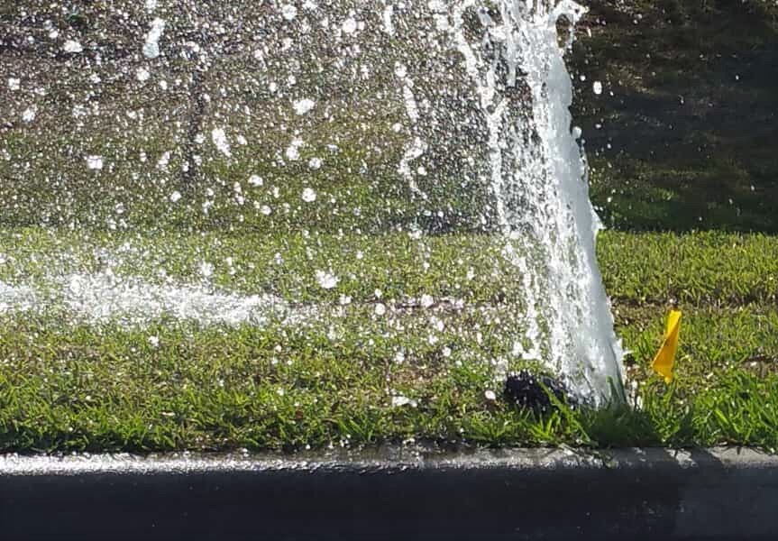 Spring has Sprung - and So Did The Sprinkler System