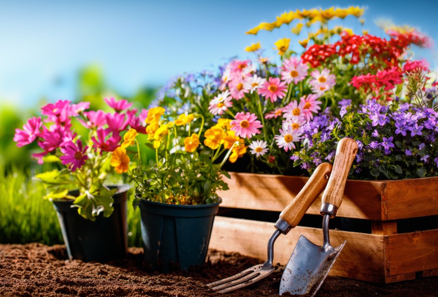 Get Your Hands Dirty - It's National Gardening Day! | Department of Energy