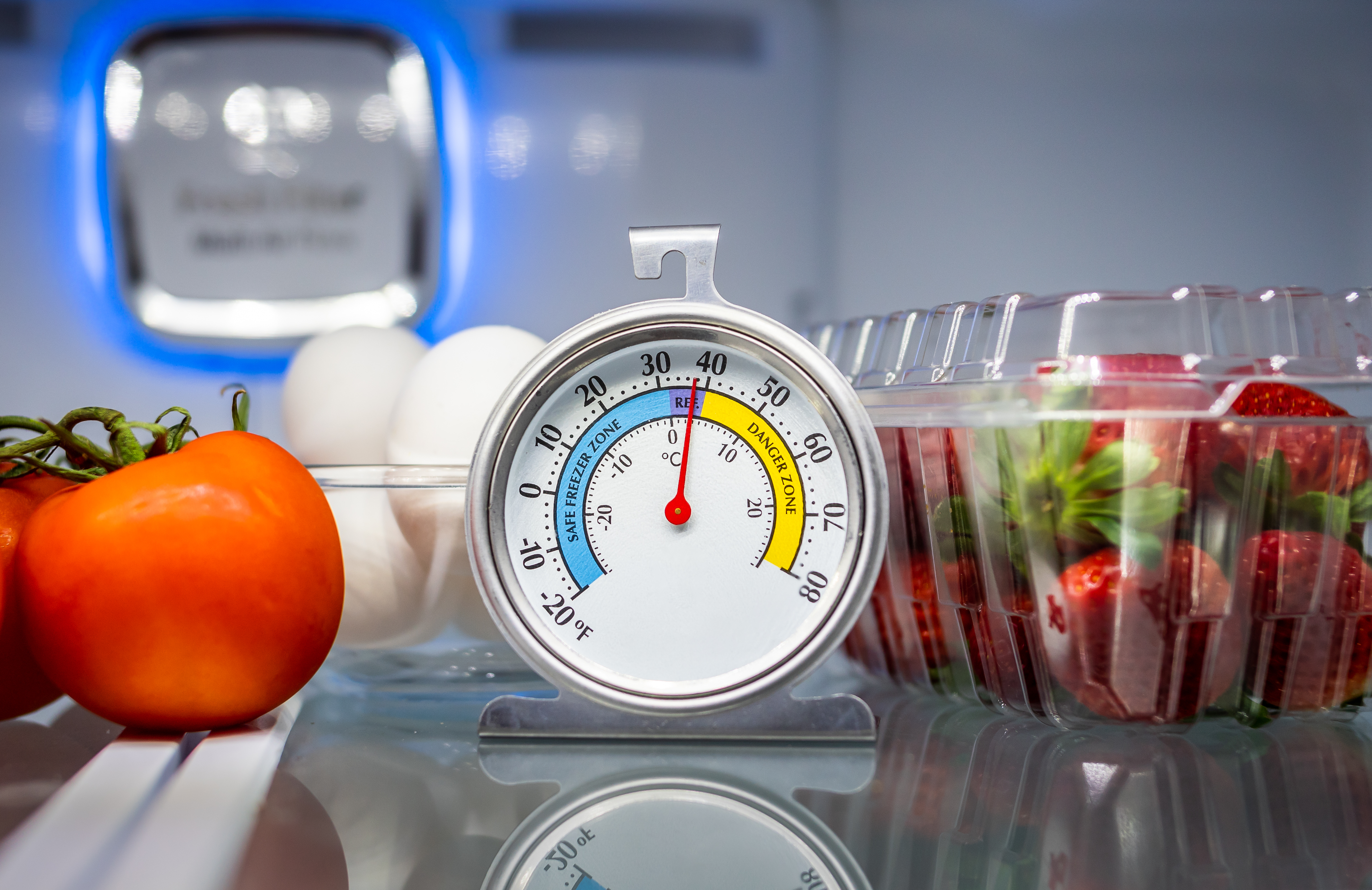 The Top 5 Fridge-Freezer Thermometers for your Home!