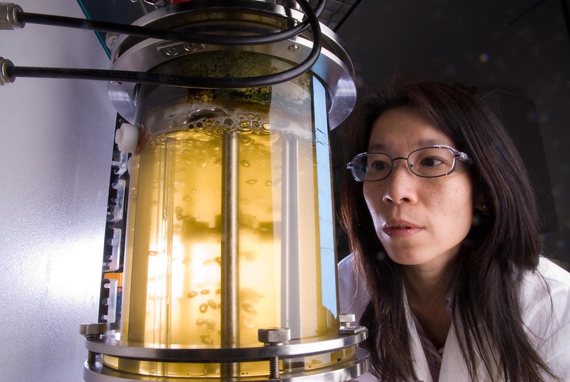 Woman wearing glasses and a white lab coat stares at a cylindrical vessel of yellow liquid.