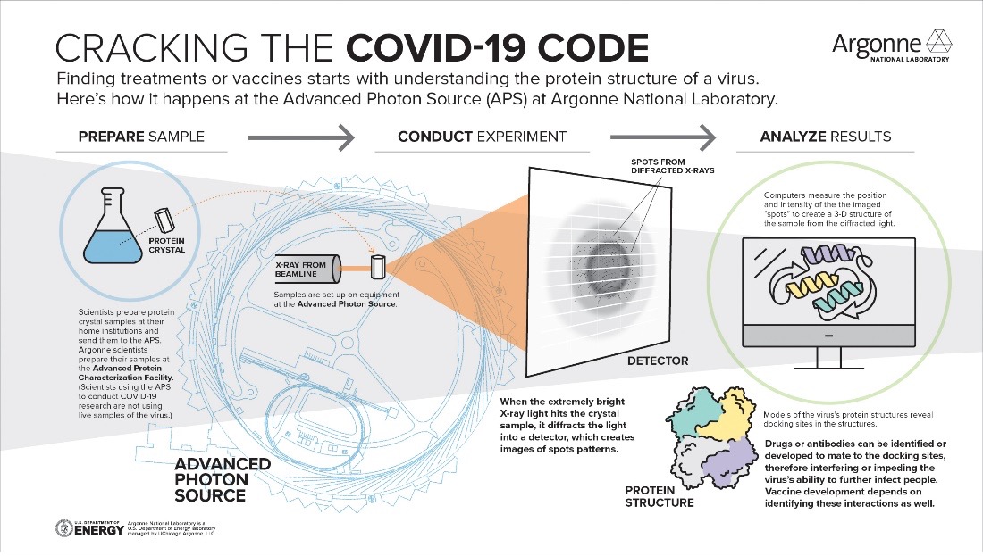 Antibodies and Vaccines as Drugs for COVID-19