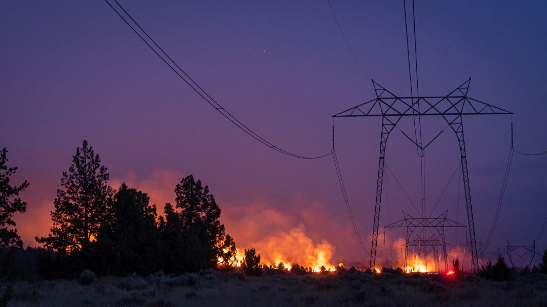 The Best Wildfire Preparedness Supplies and Strategies of 2023