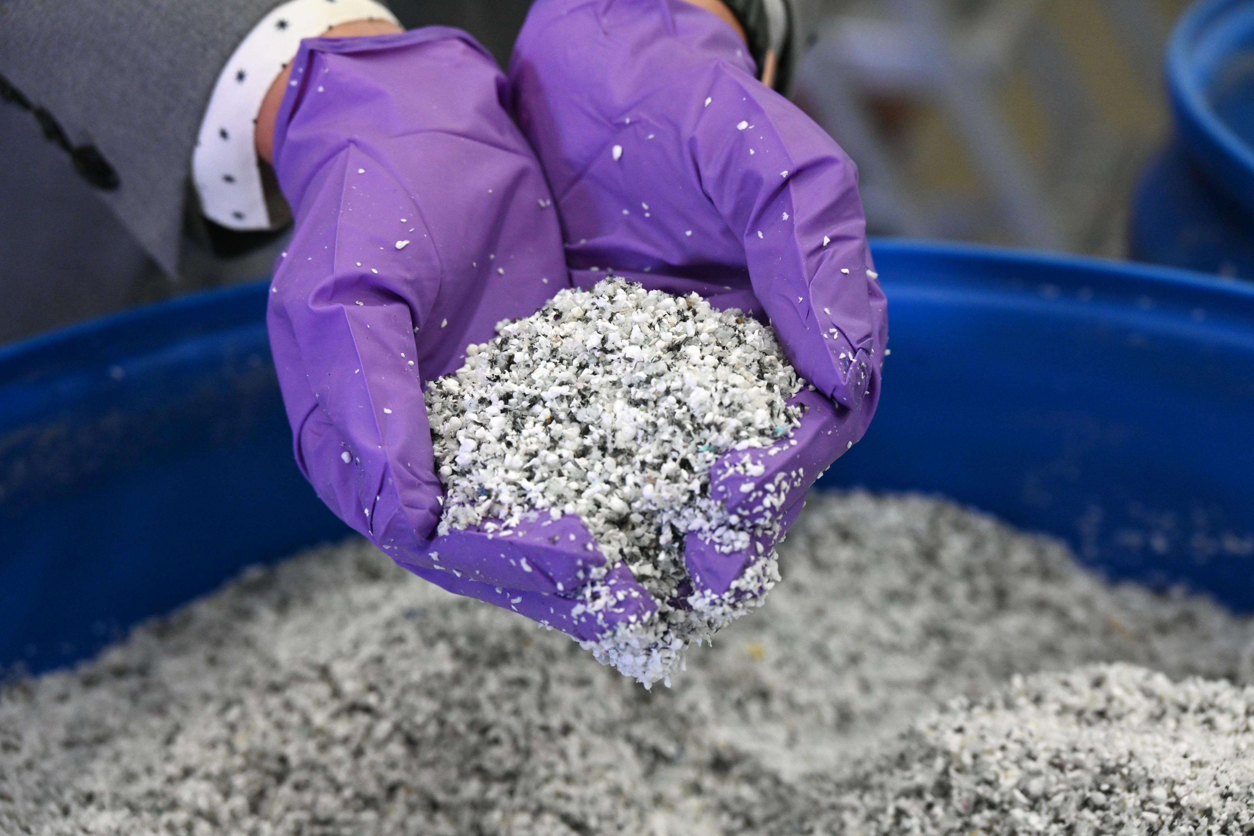 Bioenergy Feedstock library