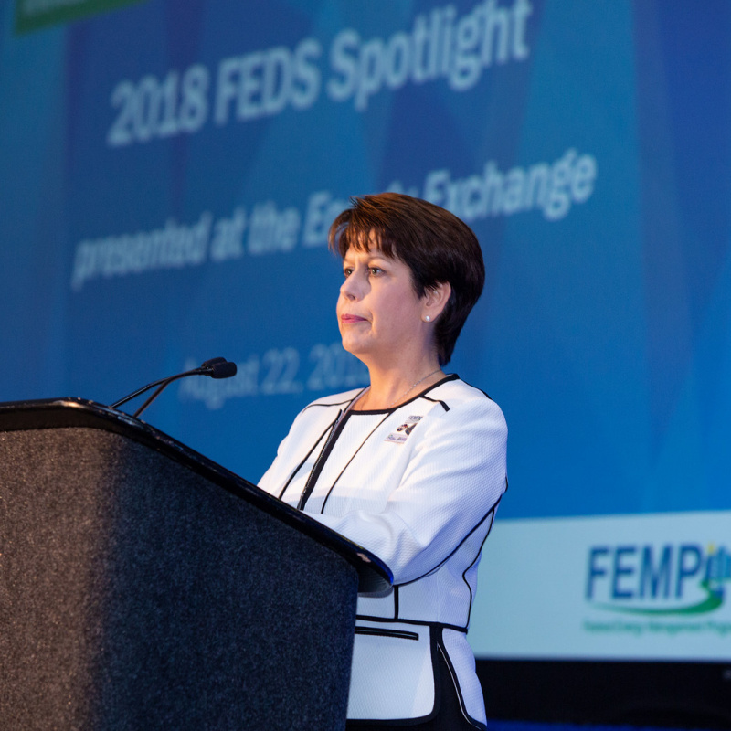 Leslie Nicholls, FEMP Director, speaking at FEDS Spotlight 2018.