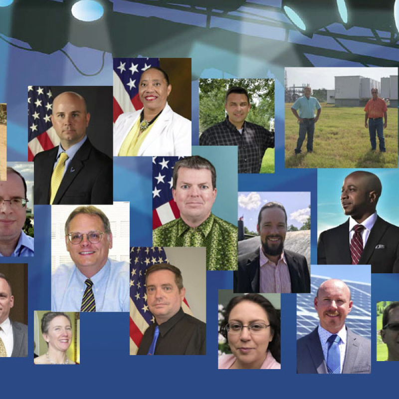 Collage of FED Spotlight 2020 winners.