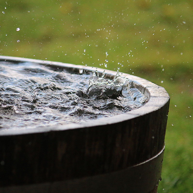 Rain falling in a wooden barrel full of water.