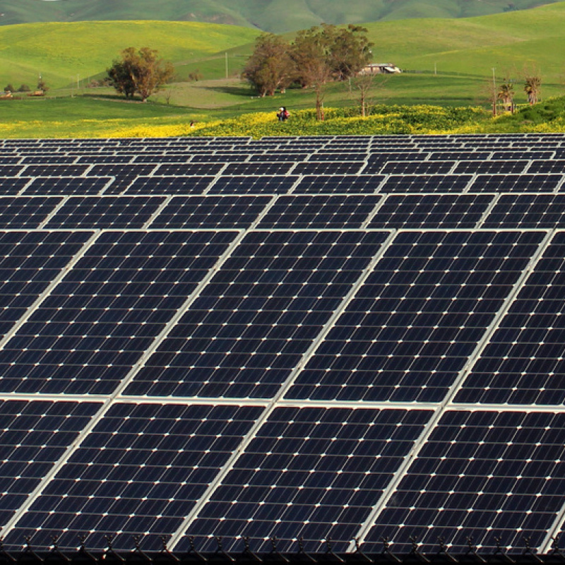 Photovoltaic panels in a field