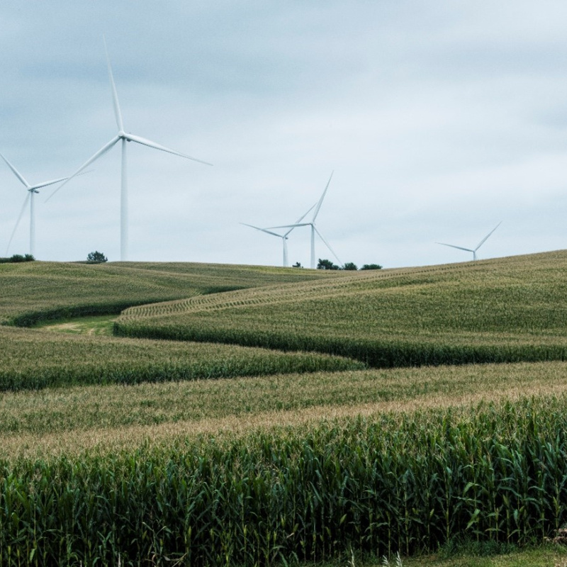 A group of wind turbines standing over a cornfield beneath partly cloudy skies