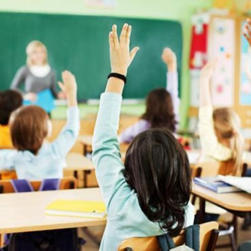 A school classroom, with backs of child students shown with raised hands and a teacher facing them blurry in the background.