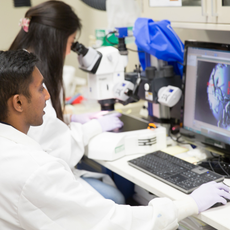 Student looks at a sample under a microscope