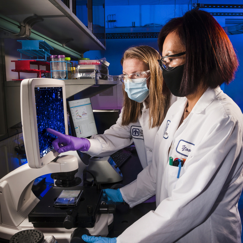 Two scientists look at images of cells on a screen in a laboratory