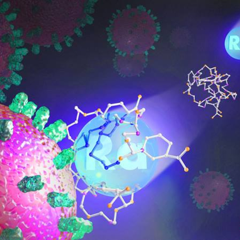 This image depicts a binding molecule delivering radium-223 to a cancer cell.