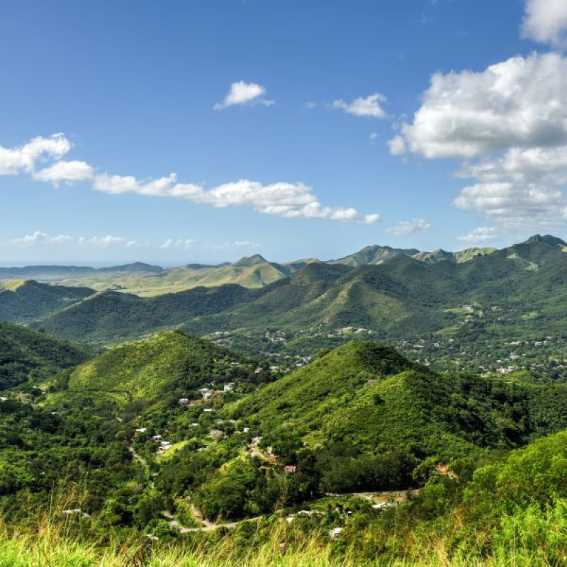 An aerial view of a lush green valley in Puerto Rico. Dense foliage and trees surround houses spread out across the landscape. In the background is a blue sky filled with white clouds.