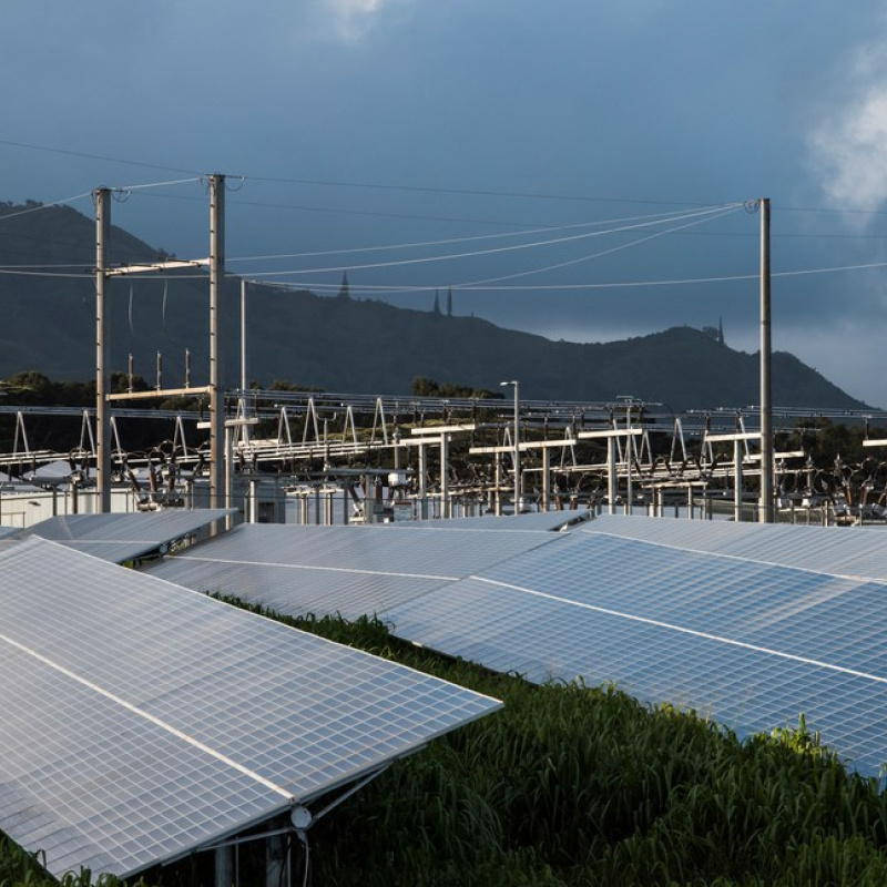A 1.1 acre, 250kW DC pilot scale PV array and battery storage plant in Kauai