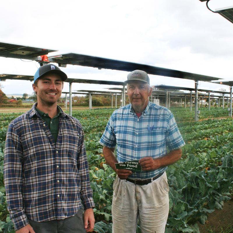 Two people standing underneath the solar array at a farm