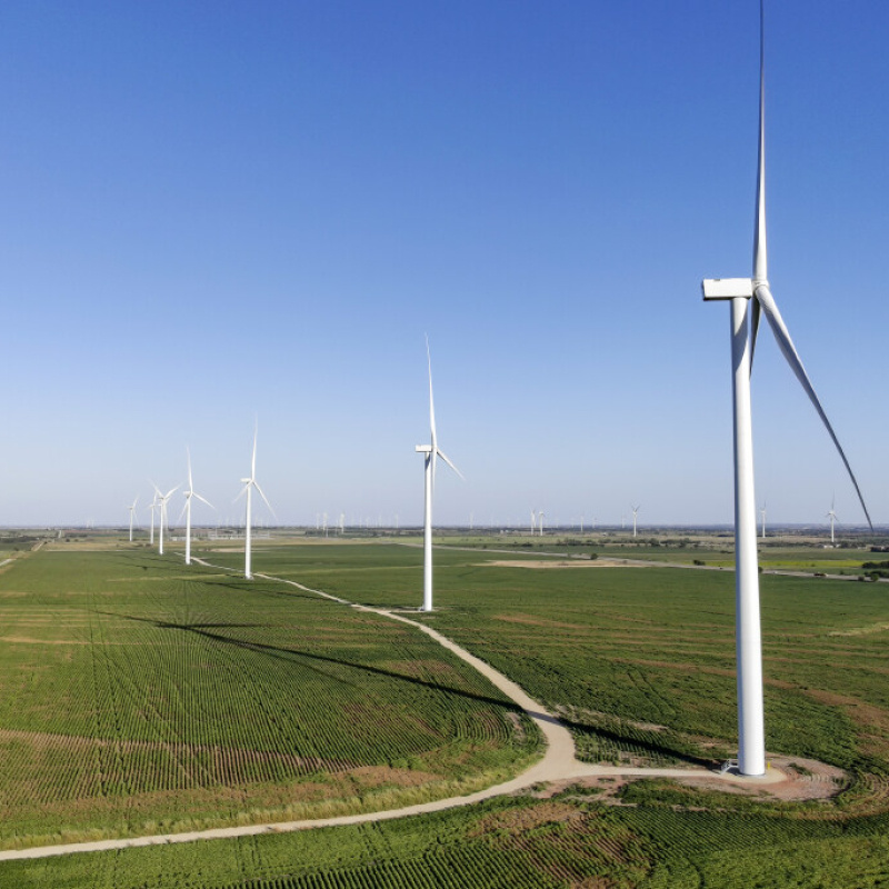 Wind turbines in a field
