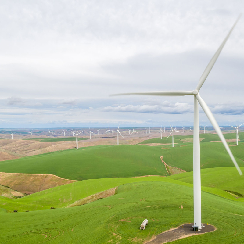 Wind turbines in a field