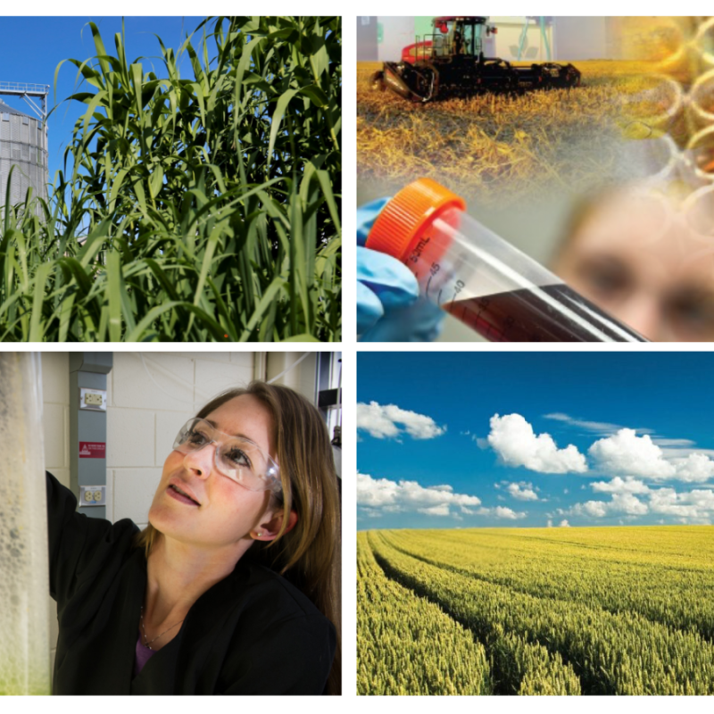 4 Picture Bioenergy Collage
