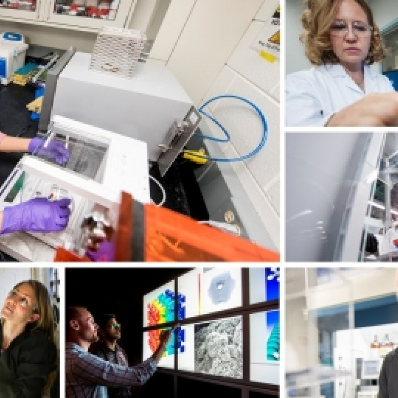 Bioenergy Consortia Collage