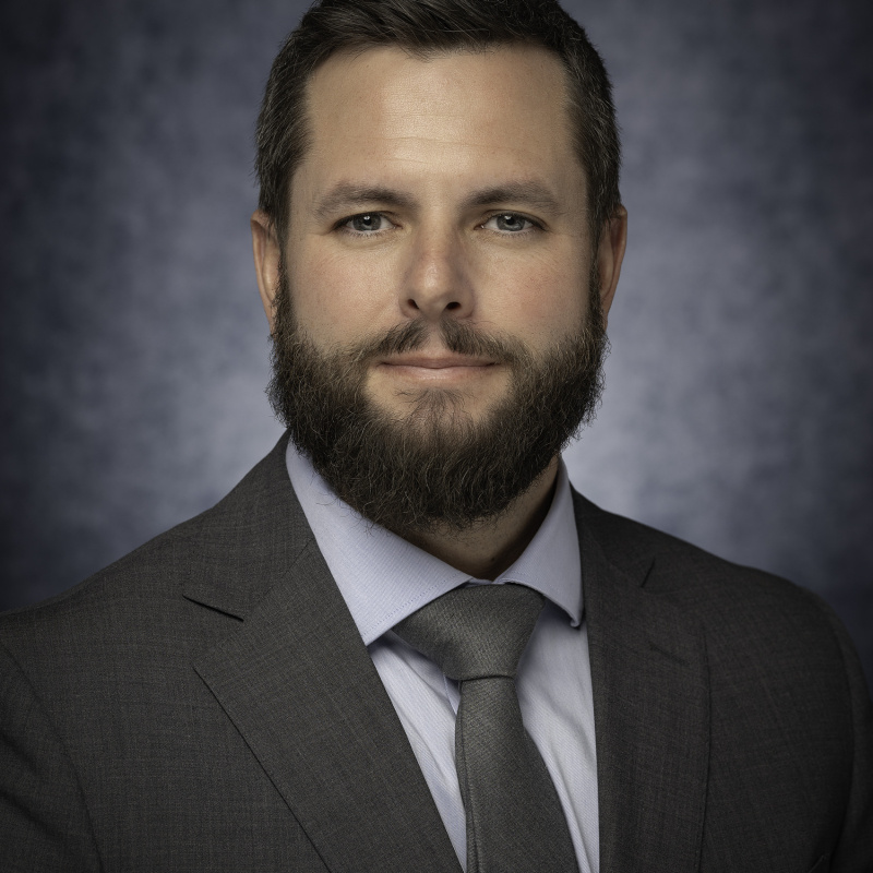 Assistant Inspector General: Audits - Matthew Dove