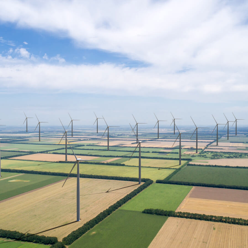 Field of wind turbines