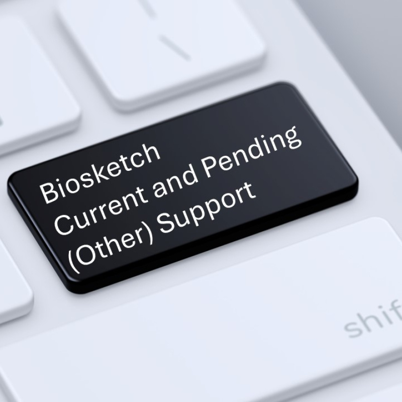 Biosketch and Current and Pending (Other) Support