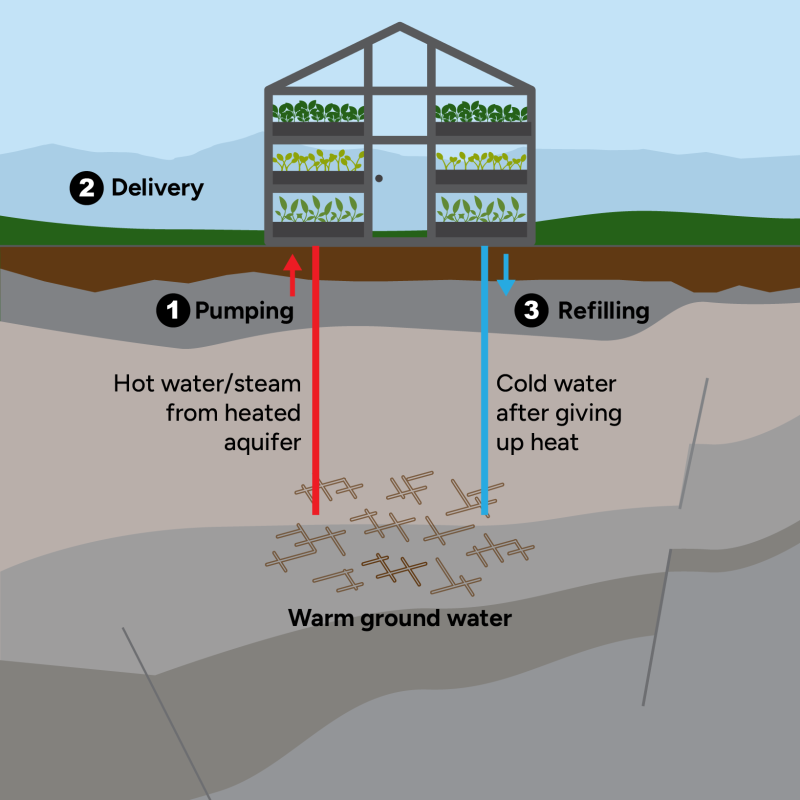 An illustration of a greenhouse sits above two pipes or wells tapping into subsurface fractures with warm ground water. In a direct use system, hot water/steam is pumped up from the heated aquifer for heating and cooling purposes at the site of delivery, and then is returned to refill the aquifer after giving up heat.