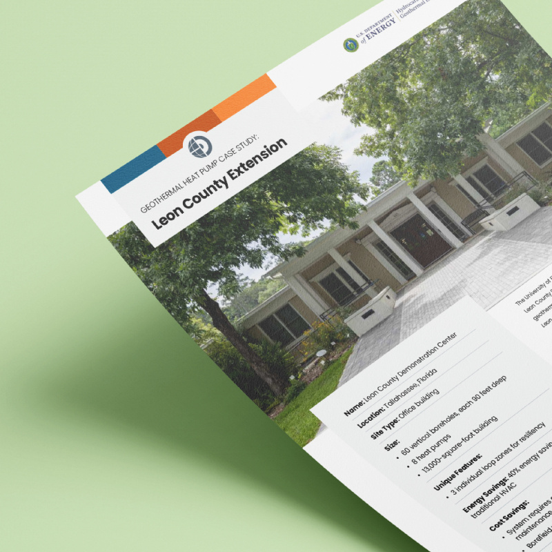 Geo-Case Study Printable Download Image Leon County