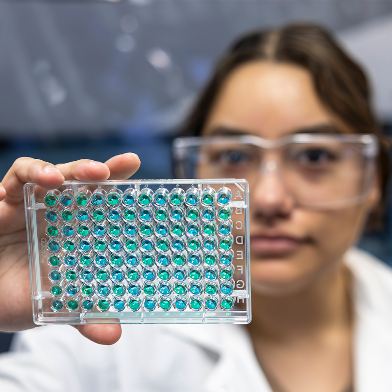 Laboratory researcher wearing safety glasses holds a multiwell plate containing blue and green samples.