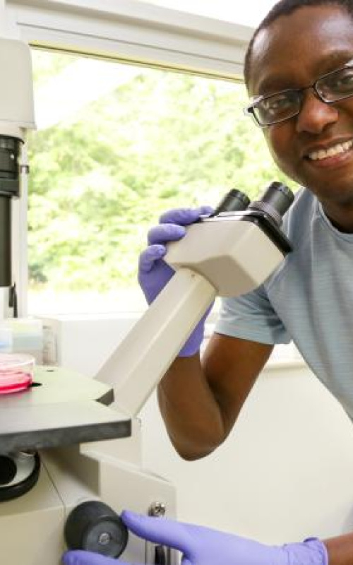 Geneticist Wellington Muchero leads the research team at ORNL that has linked the PAN protein domain to tumor growth in humans and plant-microbe interactions in plants.