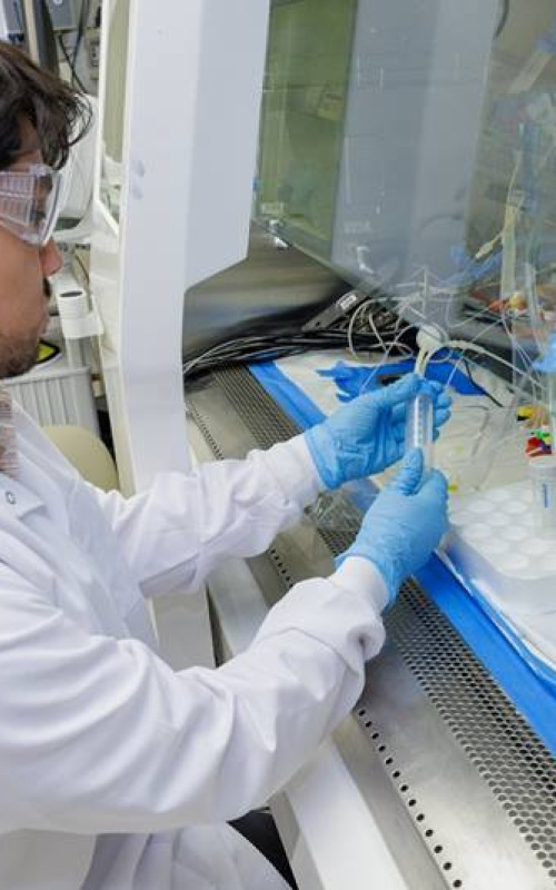 Student working in the Texas A&M University lab processing astatine-211.