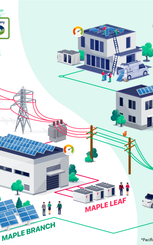 Power grid infographic