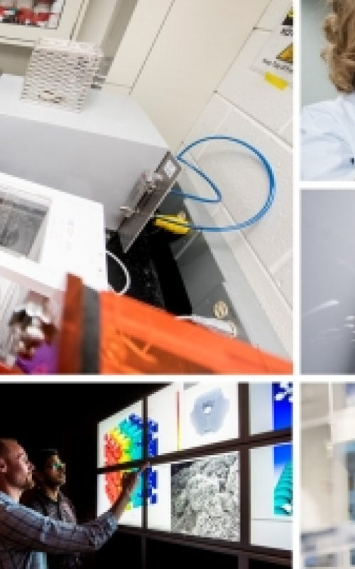 Bioenergy Consortia Collage
