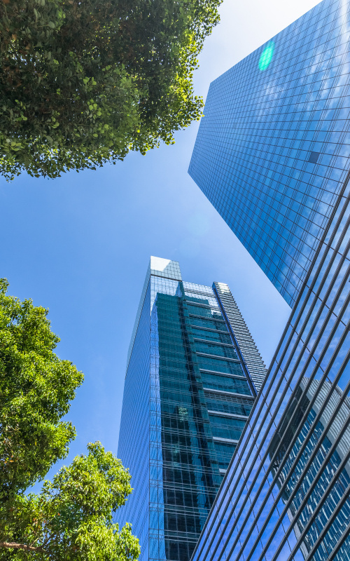 Buildings, trees, and a clear sky.