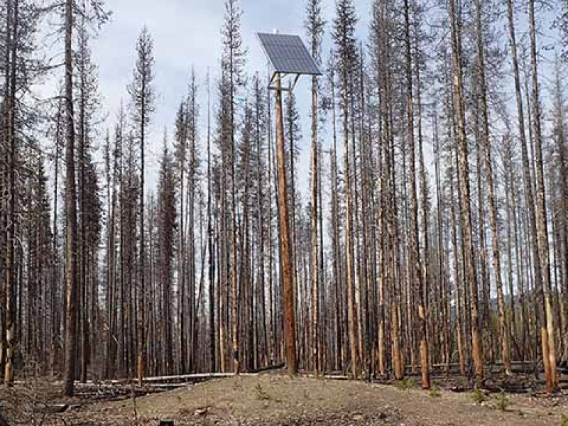 PV panel on top of tall pole in the middle of a forest.