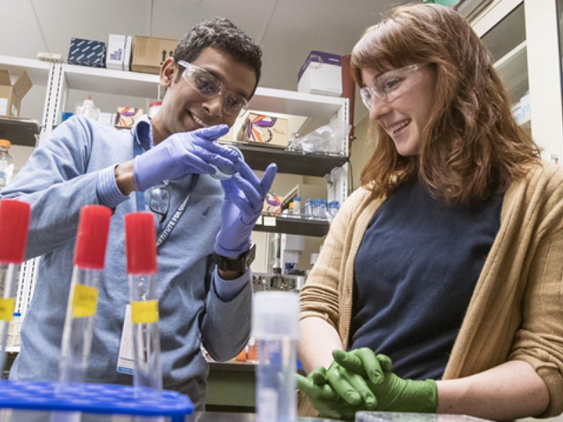 two people working in a lab.
