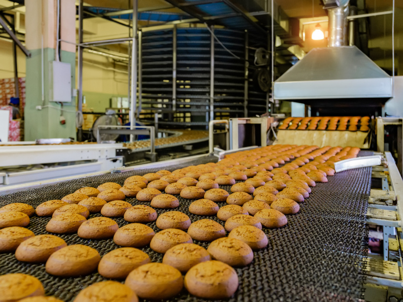 A Bakery Conveyor Belt
