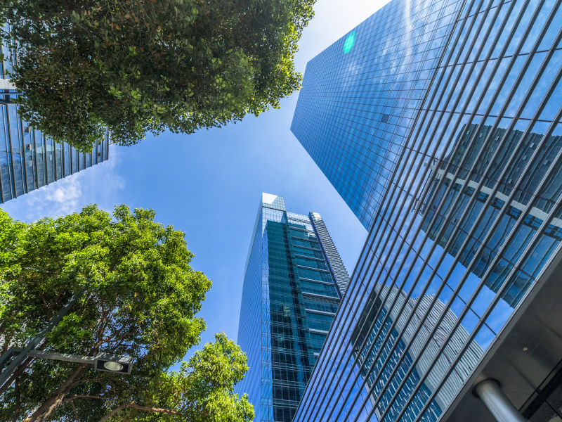 Buildings, trees, and a clear sky.