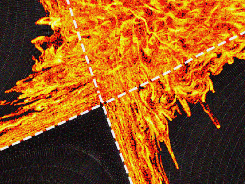 Computer-generated image showing thin, wavy, branch-like shapes stretching along an X-shaped axis.