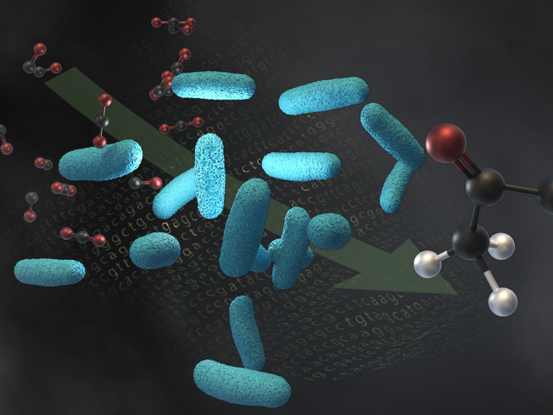Scientists engineered a microbe to convert industrial waste gases such as carbon dioxide and carbon monoxide into acetone. The same microbe can also make isopropanol.  