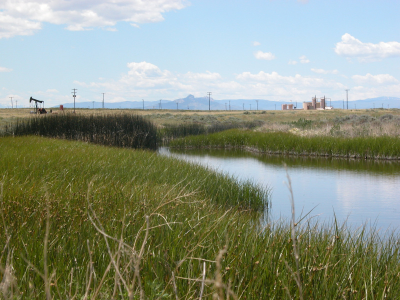 Producing wells and irrigation pond in the Elk Basin of Wyoming