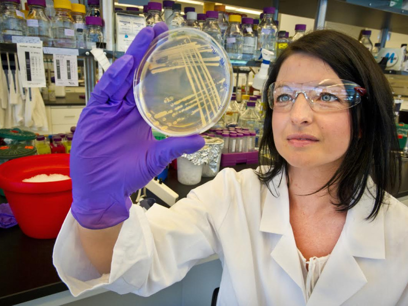 Scientist works in lab