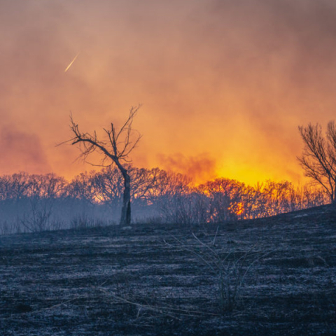 The sun sets over a prescribed burn at the Konza Prairie Biological Station in the Flint Hills of Kansas/Gregory Schill.