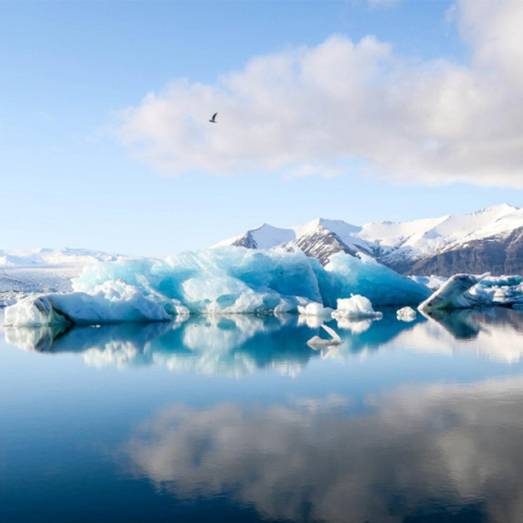Results from a study led by PNNL show that warmer surface temperatures and an increase in precipitation—falling more frequently as rain rather than snow—are reducing snow cover and its mirror-like qualities in the Arctic.